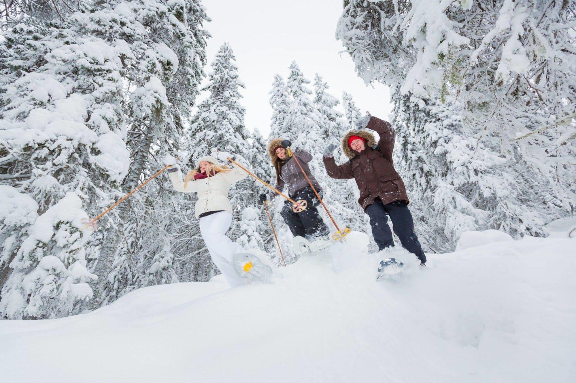 Chalet View Lodge Portola Екстериор снимка