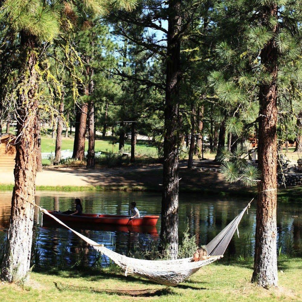 Chalet View Lodge Portola Екстериор снимка